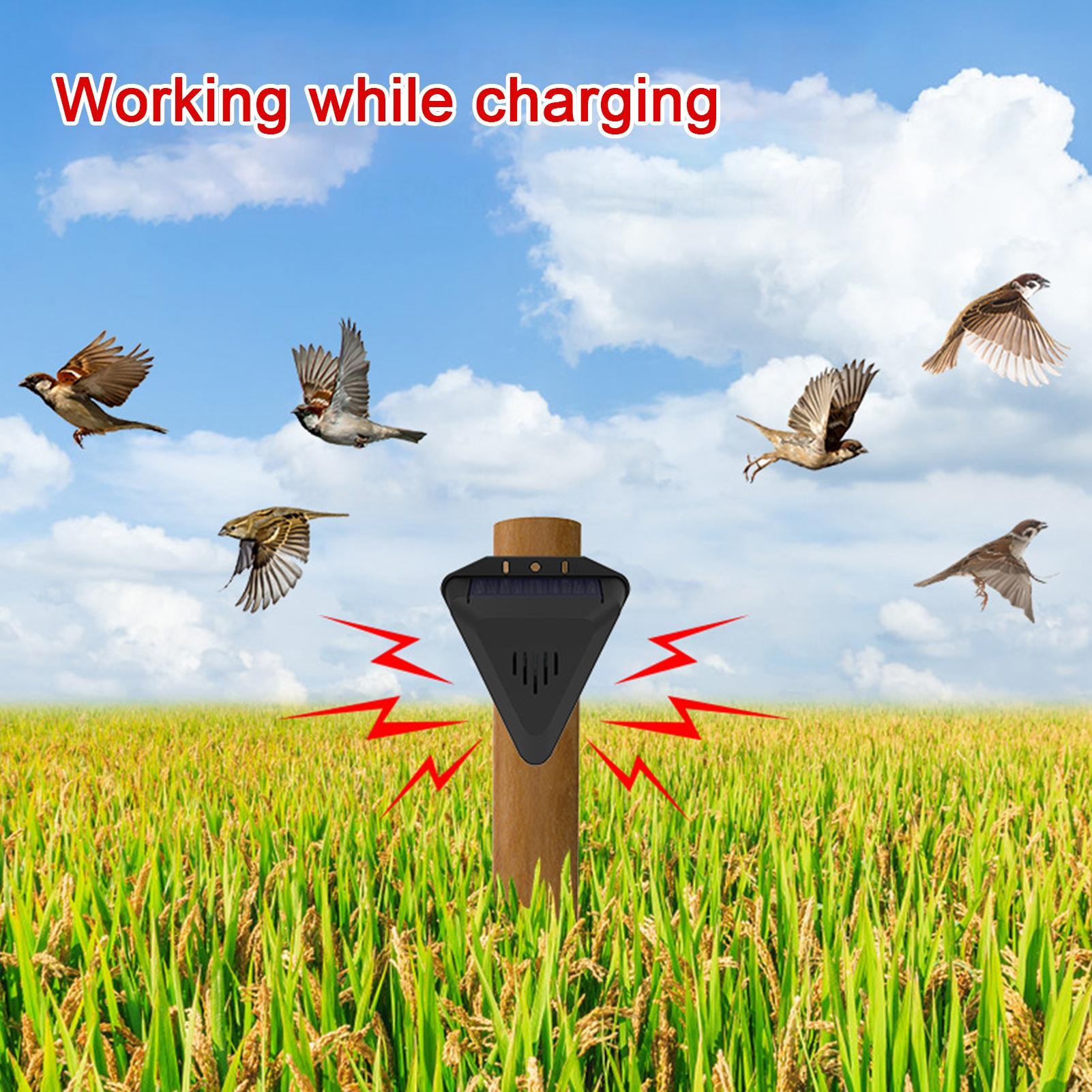 Solar Timer Bird Repeller With - Outdoor Power With Timer recension och pris