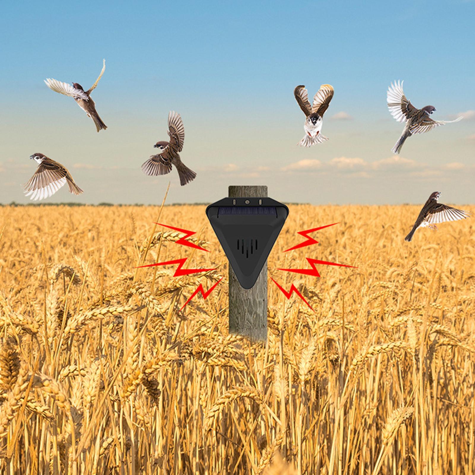 Solar Timer Bird Repeller With - Outdoor Power With Timer recension och pris