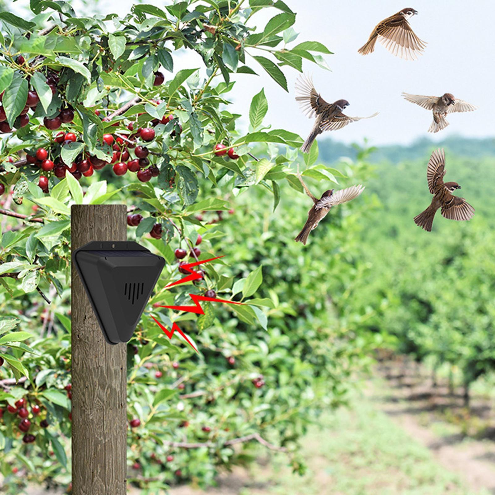 Solar Timer Bird Repeller With - Outdoor Power With Timer recension och pris